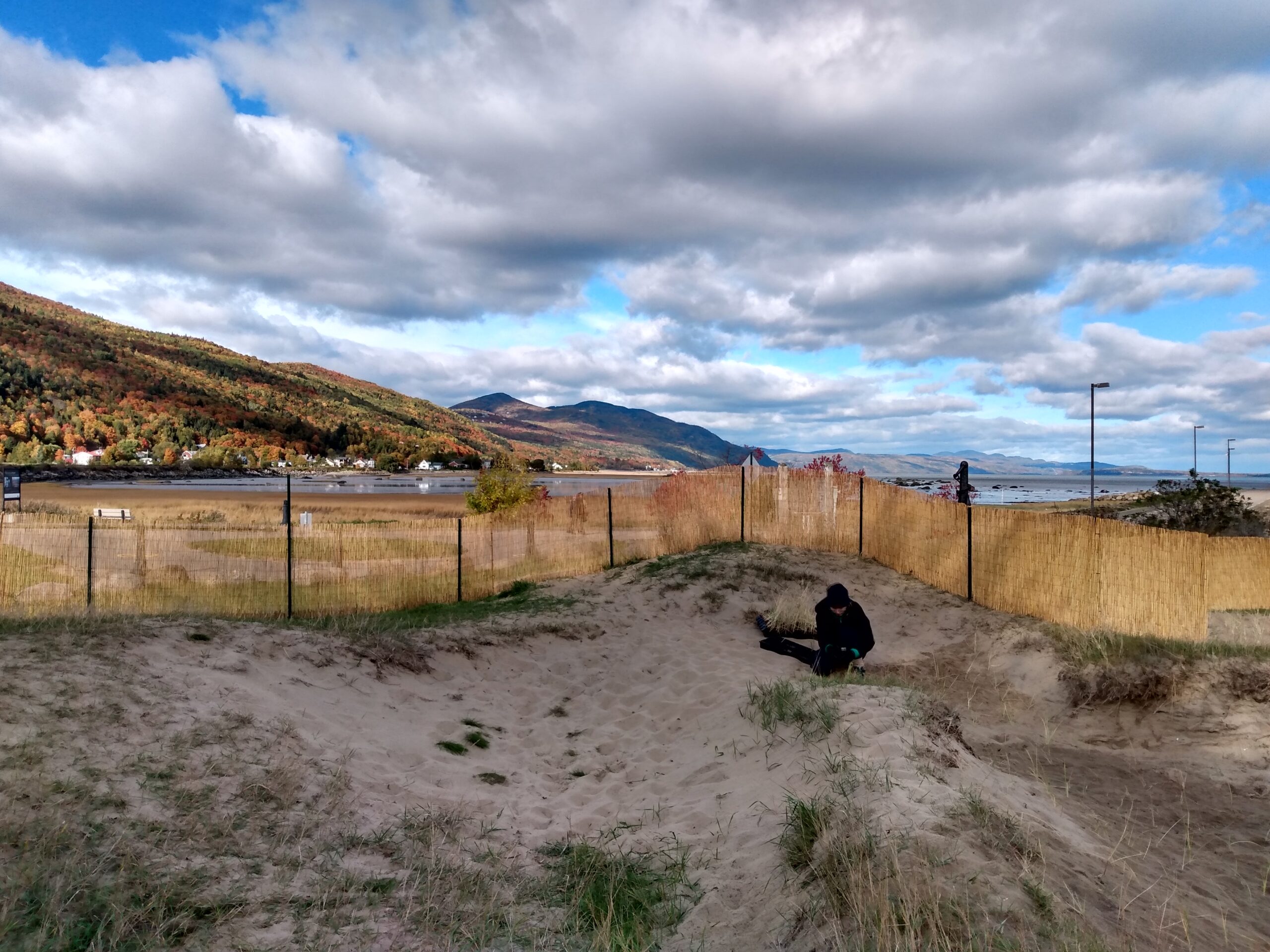 You are currently viewing Communiqué – Stratégie de priorisation des sites de restauration