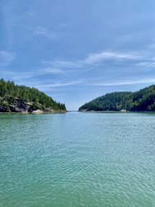 Lire la suite à propos de l’article Communiqué – Un projet phare pour restaurer et protéger les marais maritimes 