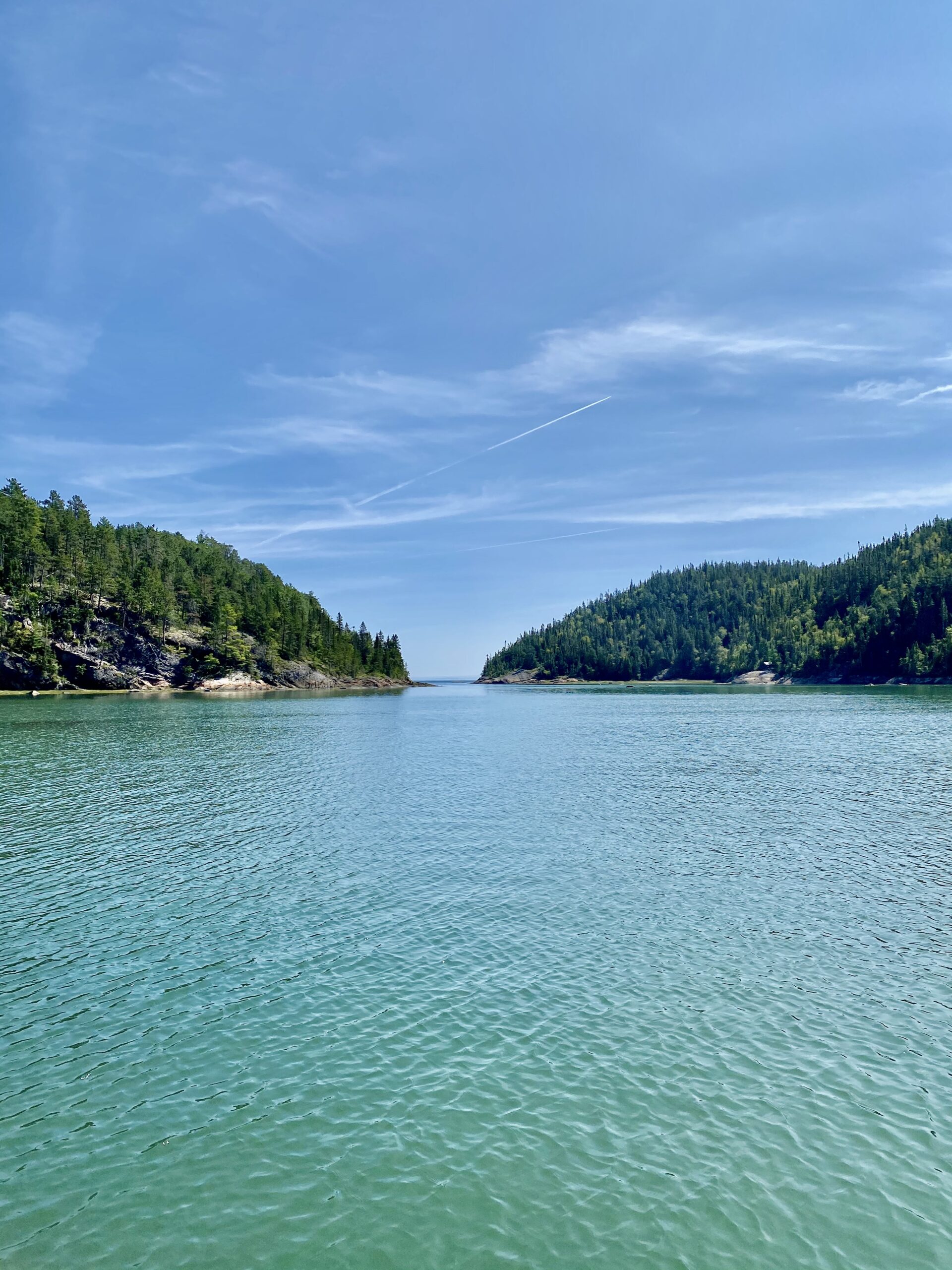 Lire la suite à propos de l’article Communiqué – Un projet phare pour restaurer et protéger les marais maritimes 