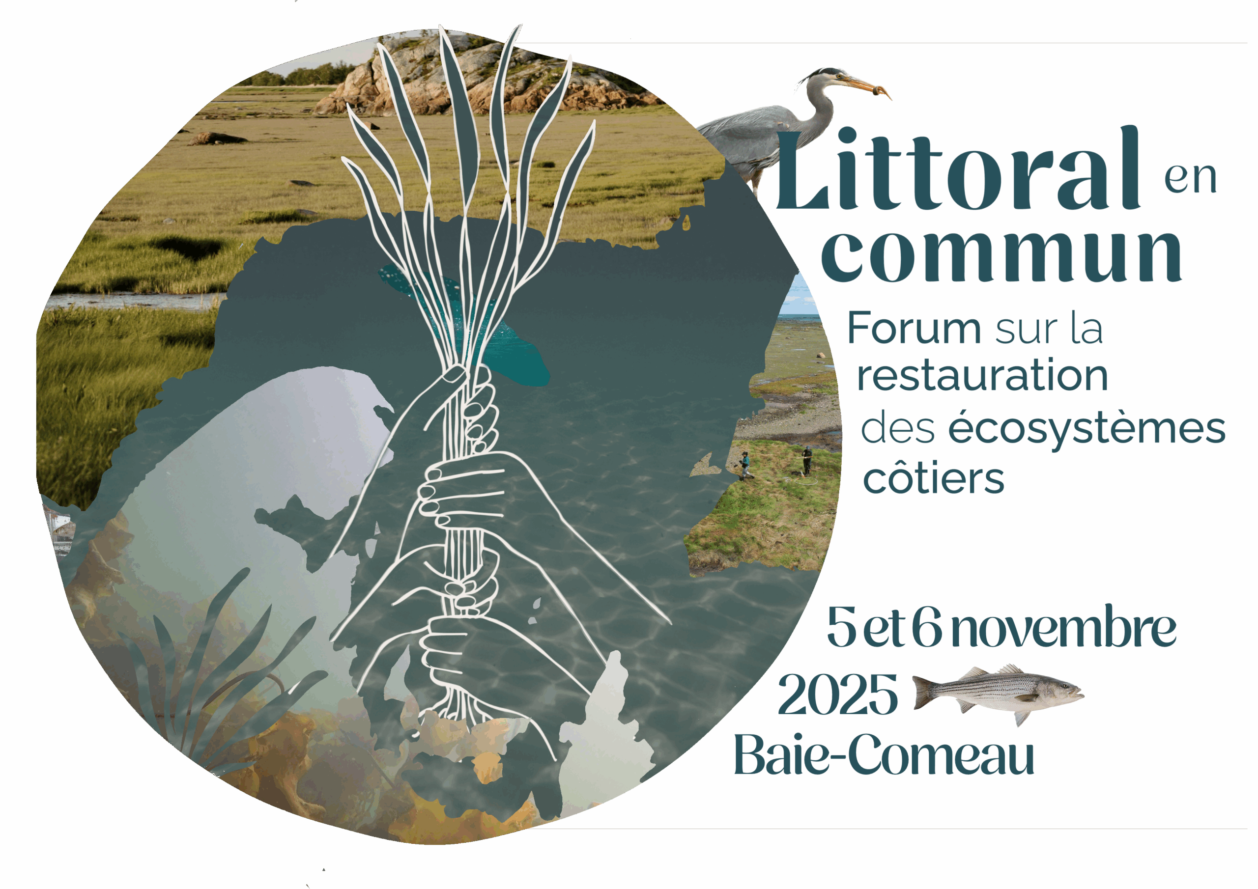Lire la suite à propos de l’article Forum Littoral en commun, prévu les 5 et 6 novembre 2025 à Baie-Comeau