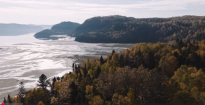 Lire la suite à propos de l’article Journée d&rsquo;ateliers sur les phytotechnologies ZIP Saguenay-Charlevoix