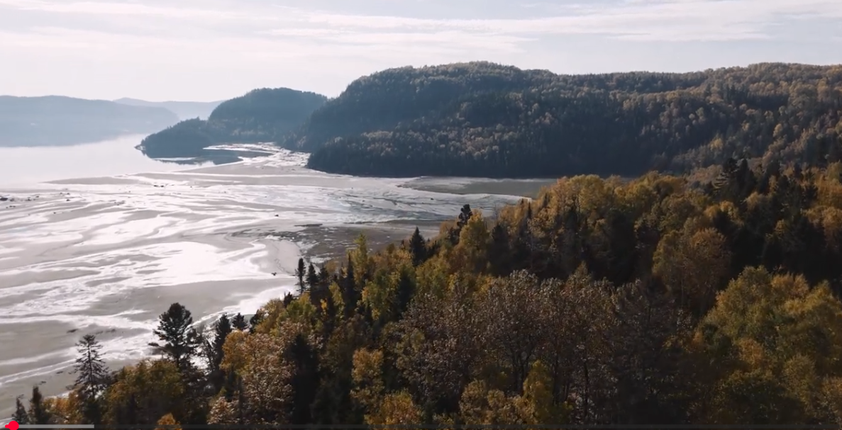 Vous consultez actuellement Journée d&rsquo;ateliers sur les phytotechnologies ZIP Saguenay-Charlevoix
