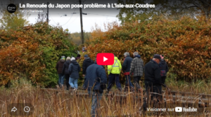 Lire la suite à propos de l’article Un atelier sur les espèces végétales exotiques envahissantes au parc de la Roche à Caya